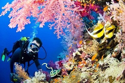 water sports (Own) activities like snorkeling